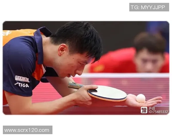 对话刘磊：回顾乒乓球生涯的辉煌与挑战之路